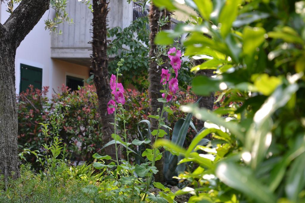 B&B Garda 4U Десенцано дел Гарда Екстериор снимка